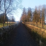 Bridle Path from the Pant