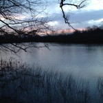 Flooded Field By Old Road