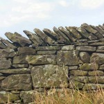 Image13