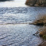 Image14