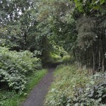 Old Railway 1
