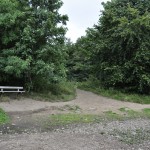 Watersmeet 7